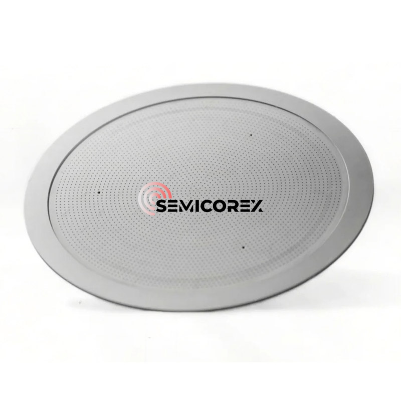 CVD SiC शावर हेडहरू