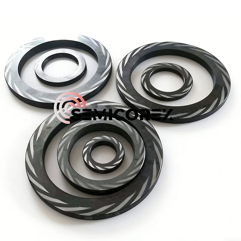 DGS को लागि SiC सील अनुहार