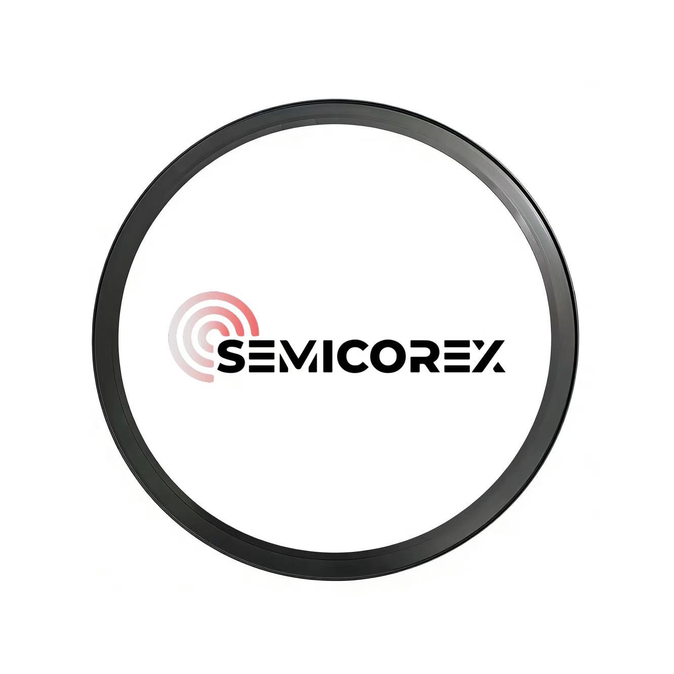 सिलिकन कार्बाइड फोकस रिंगहरू